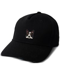 PELO FOUNDATION - Gorra Border Collie - Lyst