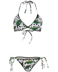 Brigitte Bardot - Cheetah-Print Bikini Set - Lyst
