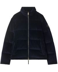 Burberry - Corduroy Padded Jacket - Lyst