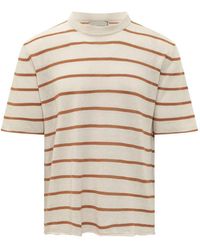 Amaranto - Kurzärmeliger Pullover - Lyst