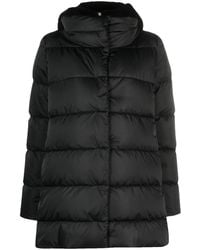 Herno - Logo Jacket - Lyst
