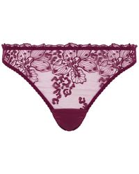 Fleur Of England - Viola Floral-Embroidered Briefs - Lyst