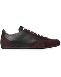 Jimmy Choo - Sunny F And Chocolate Leather-Mix And Perforated Leather Low Top Trainers - Lyst