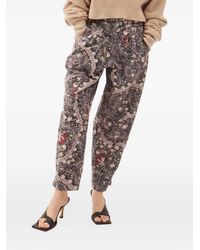 Maria Cher - Floral-Print Tapered Trousers - Lyst