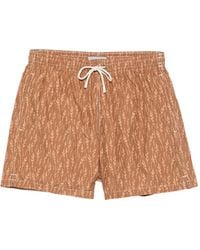 Canali - Bañador Con Hojas Estampadas - Lyst