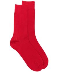 ANT45 - Urbana Long Ribbed-Knit Socks - Lyst