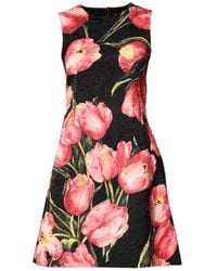 Dolce & Gabbana - Floral-Print A-Line Mini Dress - Lyst