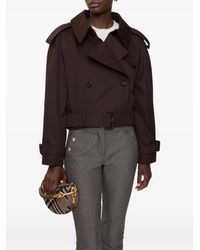 Burberry - Cotton Gabardine Jacket - Lyst