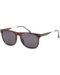 Carrera - Zonnebril Met Schildpadschild-Design - Lyst