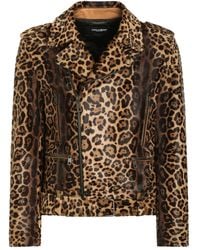 Dolce & Gabbana - Leopard-Print Zipped Jacket - Lyst