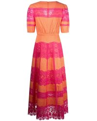 knee length dresses for ladies Saloni Azure Flamingo Min-C Mini Dress Azure Flamingo / 2