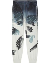 Dries Van Noten - Palm-printed Trousers - Lyst