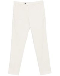 Briglia 1949 - Pantalon Chino À Coupe Droite - Lyst