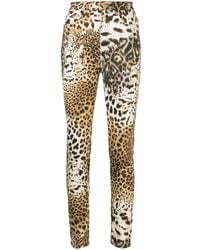 Roberto Cavalli - Leopard-print Tapered-leg Trousers - Lyst