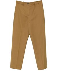 Alysi - Pressed-Crease Cotton Trousers - Lyst