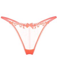 Agent Provocateur - Tanga Florina con encaje floral - Lyst