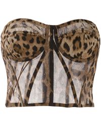 Dolce & Gabbana - Leopard-print Tulle Bustier Top - Lyst