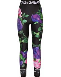 dolce and gabbana tights set