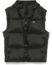 Lacoste - Padded Gilet - Lyst