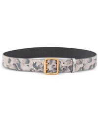 Pinko - Belt With Python Print, 4 Cm - Lyst
