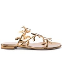 Gianvito Rossi - Flavia Leather Flat Sandals - Lyst