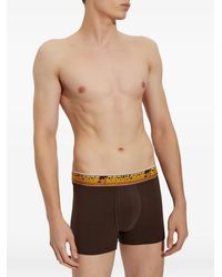 DSquared² - Dominate Your Sport Logo-Waistband Boxers - Lyst