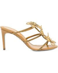 Rene Caovilla - 80Mm Peach-Flower Sandals - Lyst