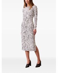 Calvin Klein Leopard-print Sheath Dress in Black | Lyst