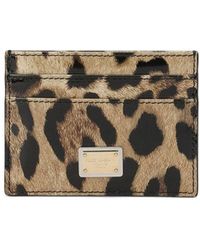 Dolce & Gabbana - Porte-cartes en cuir de veau brillant à imprimé léopard - Lyst