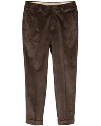 Alpha Industries - Pleated Corduroy Trousers - Lyst