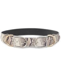Pinko - Belt With Python Print And Metal Loops, 4 Cm - Lyst