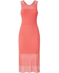 Pinko - Geribbelde Doorzichtige Midi-Jurk - Lyst
