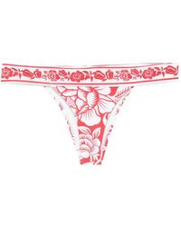 FARM Rio - Cashew And Birds Bikini Bottoms - Lyst