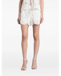 Alice + Olivia - Kenley Lace Scalloped-Hem Shorts - Lyst