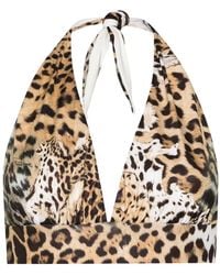 Roberto Cavalli - Jaguar Skin-Print Bikini Top - Lyst