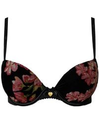 Twinset - Fluwelen Push-Up Bh - Lyst