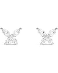 Apm Monaco - Butterfly Stud Earrings - Lyst