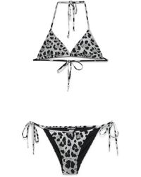 Dolce & Gabbana - レオパード ビキニ - Lyst