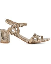 Roberto Del Carlo - Betty Snake-Effect Buckled Sandals - Lyst