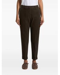 Peserico - Turn-Up Cuff Tailored Trousers - Lyst
