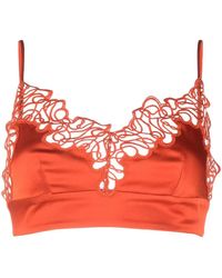 Stella McCartney - Triangle Lace Bra - Lyst