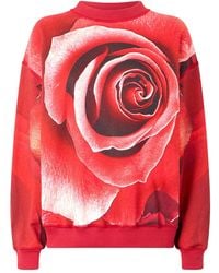 Roberto Cavalli - ローズプリント スウェットシャツ - Lyst