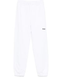 MSGM - Jogginghose Aus Baumwolle - Lyst