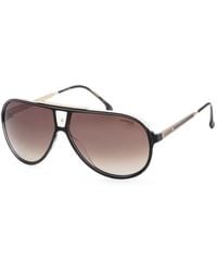 Carrera - Getönte Pilotenbrille - Lyst