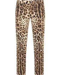 Dolce & Gabbana - Vaqueros skinny con estampado de leopardo - Lyst