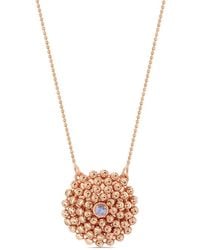 Officina Bernardi - 18Kt Rose Medium Mimosa Sapphire Necklace - Lyst