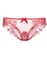 Agent Provocateur - Lindie Floral-embroidered Tulle Briefs - Lyst