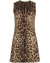 Dolce & Gabbana - Leopard Pattern Shift Dress - Lyst