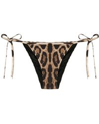 Dolce & Gabbana Bas de bikini Brazilian - Marron
