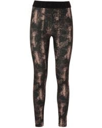 Just Cavalli - Leggings Mit Schlangenleder-Print - Lyst